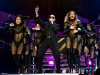 AAC - Pitbull 101714 - 14