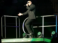 AAC - Pitbull 101714 - 18