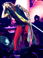 AAC - Aerosmith 082214 - 15